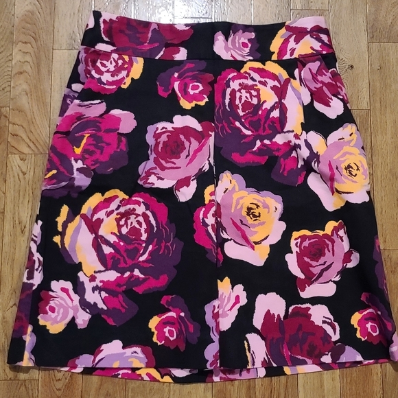 Express Dresses & Skirts - Express Design Studio skirt (B5)